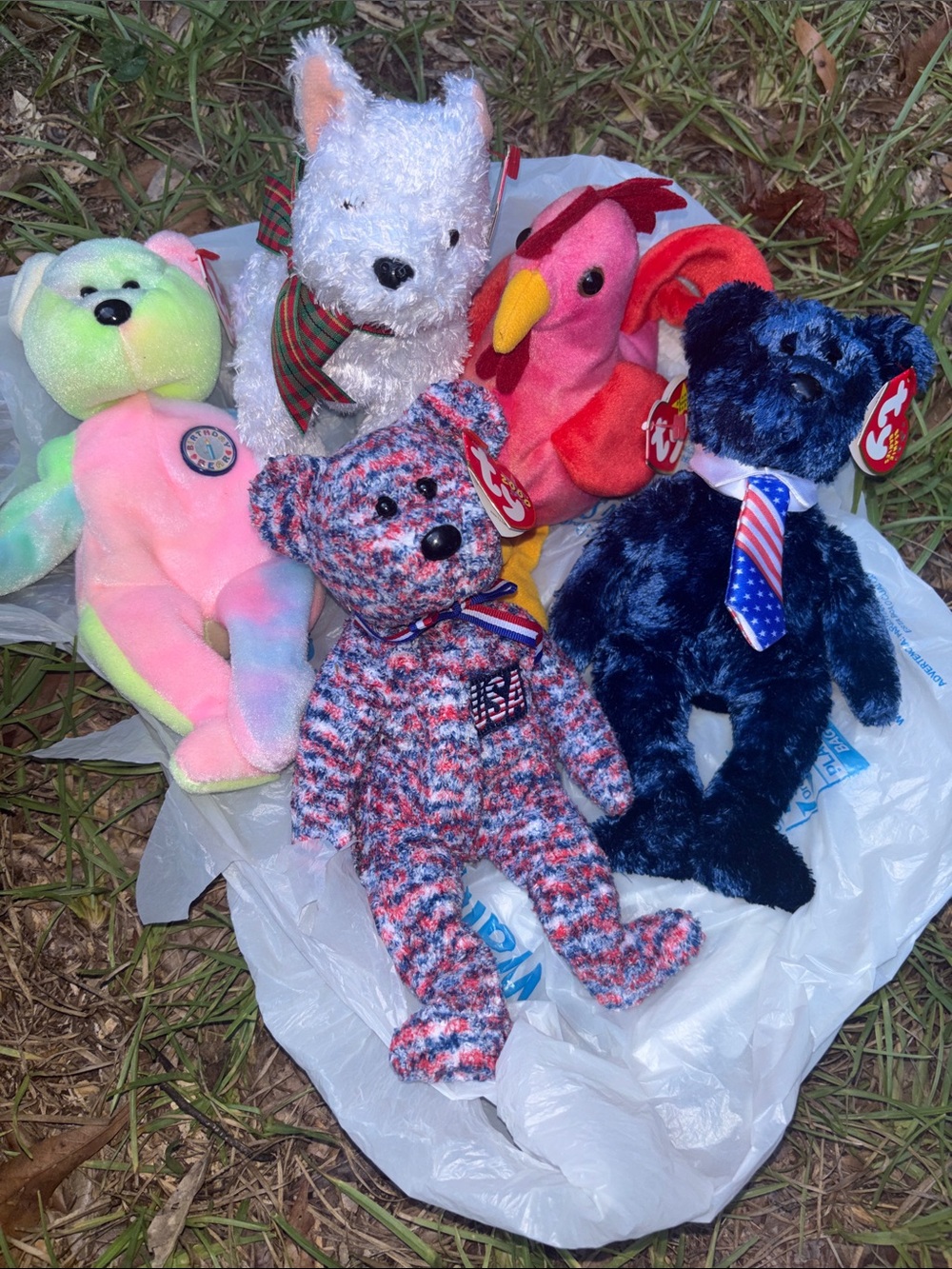 Ty Beanie Babies lot of 5 all have the heart tag -all in good shape